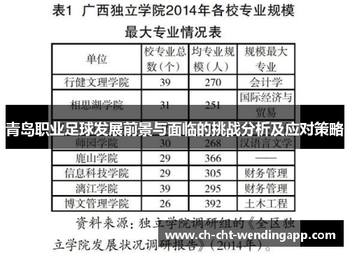 青岛职业足球发展前景与面临的挑战分析及应对策略
