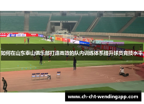 如何在山东泰山俱乐部打造高效的队内训练体系提升球员竞技水平