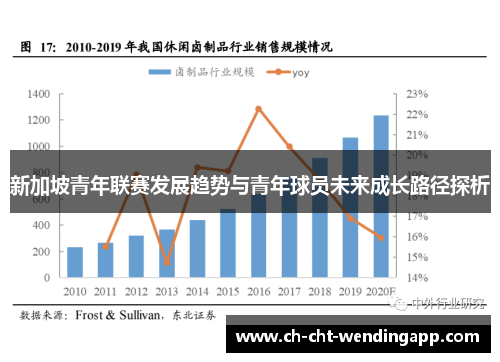 新加坡青年联赛发展趋势与青年球员未来成长路径探析