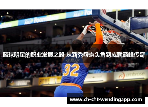 篮球明星的职业发展之路 从新秀崭露头角到成就巅峰传奇
