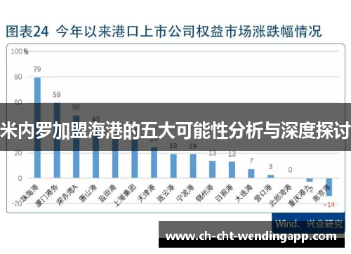 米内罗加盟海港的五大可能性分析与深度探讨