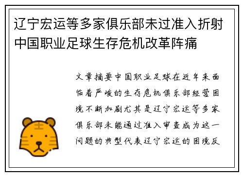 辽宁宏运等多家俱乐部未过准入折射中国职业足球生存危机改革阵痛